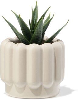 Hema Bloempot ⌀7x6cm keramiek ribbel grijs (grijs)