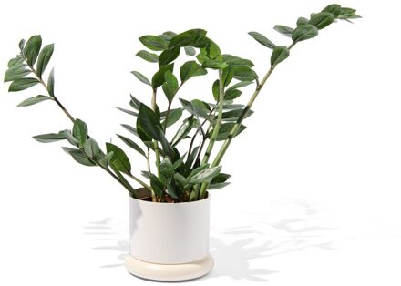 Hema Bloempot Ø15.5x12cm metaal wit (wit)