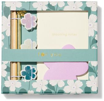 Hema Cadeauset schrijfwaren (multi)