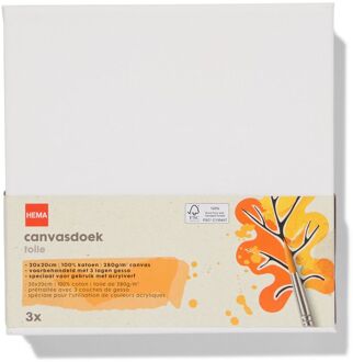 Hema Canvasdoeken 280gsm 20x20 - 3 stuks