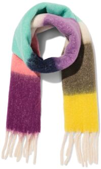 Hema Damessjaal 35x200cm kleurblokken