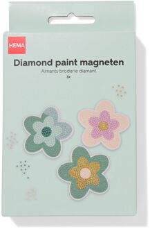 Hema Diamond paint magneten (multi)