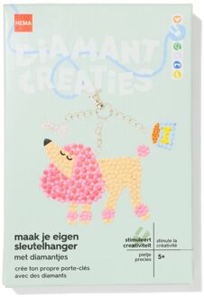 Hema Diamond painting sleutelhangers huisdieren