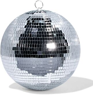 Hema Discobal Ø28cm (zilver)