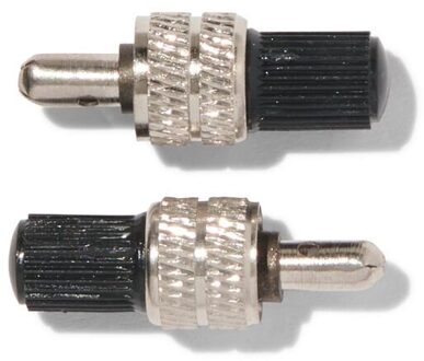 Hema Fietsventielen - 2 stuks