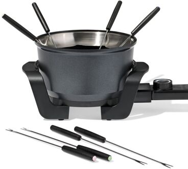 Hema Fondueset rvs
