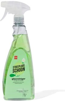 Hema Glasreiniger 750ml