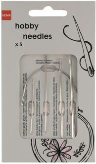 Hema Hobbynaalden - 5 stuks