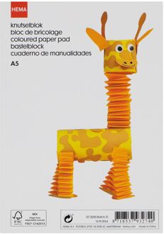Hema Knutselblok A5 gekleurd papier