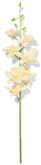 Hema Kunstbloem dendrobium 55cm rubber wit (wit)