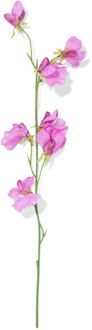 Hema Kunstbloem lathyrus paars (lila)