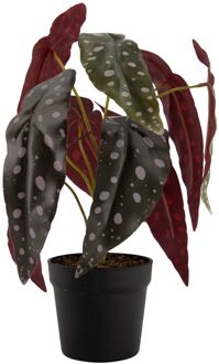 Hema Kunstplant begonia met stippen (groen)