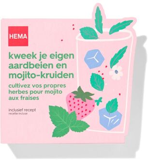 Hema Kweek je eigen aardbeien-mojito kruiden