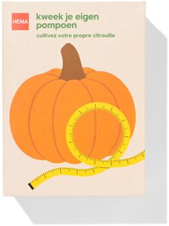 Hema Kweek je eigen pompoen