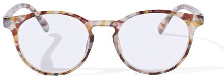 Hema Leesbril multicolor 2.0