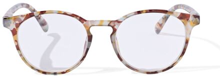 Hema Leesbril multicolor 2.5
