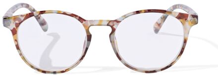Hema Leesbril multicolor 3