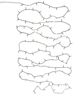 Hema Lichtsnoer 12.42m met 100 LED lampjes voor binnen en buiten (wit)