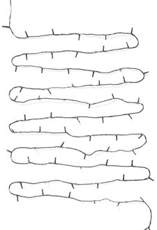 Hema Lichtsnoer 27.9m met 200 lampjes voor binnen en buiten (wit)