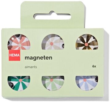 Hema Magneten glas bloem - 6 stuks