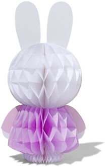 Hema Nijntje honeycomb 13.8x25.4cm