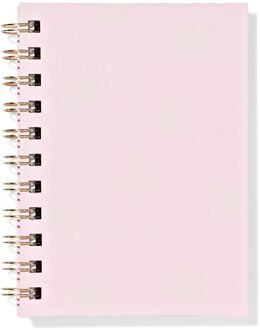 Hema Notitieboek 11.5x15cm roze hartjes