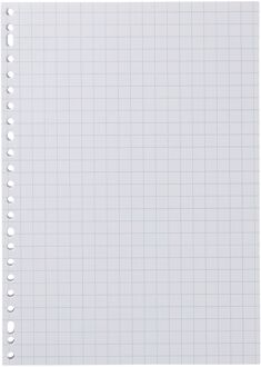 Hema Ringbandpapier geruit 10x10mm - 100 stuks