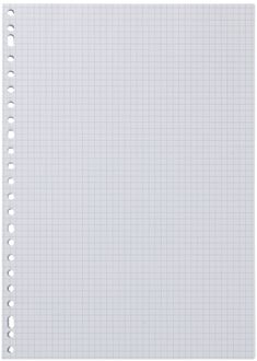 Hema Ringbandpapier geruit 5x5mm - 100 stuks