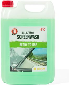 Hema Ruitensproeier antivries 5L