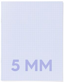 Hema Schriften blauw A5 geruit 5mm - 3 stuks