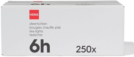 Hema Sfeerlichten 6 branduren Ø4cm - 250 stuks