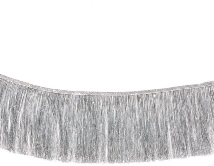 Hema Slinger 3m franjes zilver (zilver)