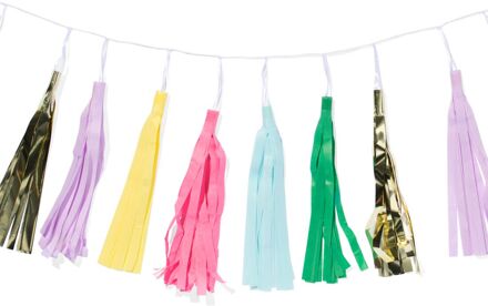 Hema Slinger met kwastjes meerkleurig 3m