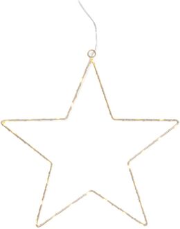 Hema Ster 28.5x28cm met 30 LED lampjes (wit)