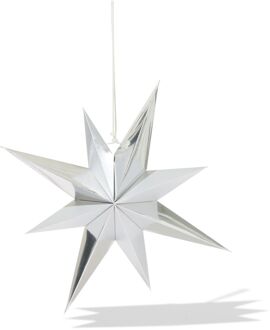 Hema Ster 40cm papier zilver