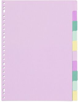 Hema Tabbladen karton - 10 stuks