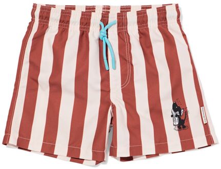 Hema Takkie kinderzwembroek strepen bruin (bruin) - 110/116