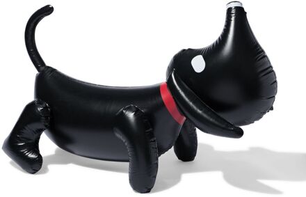 Hema Takkie opblaasbare watersproeier 106x46x72cm