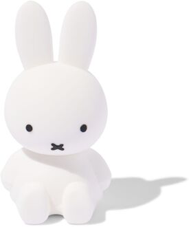 Hema USB nijntje 8GB