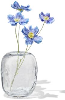 Hema Vaas ⌀14x18cm glas (multi)