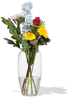 Hema Vaas 29cm glas (transparant)