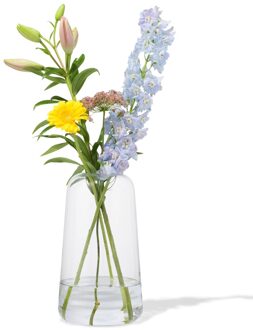 Hema Vaas 30cm glas (transparant)