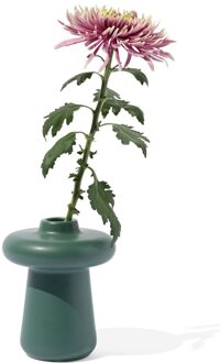 Hema Vaas donkergroen (donkergroen)