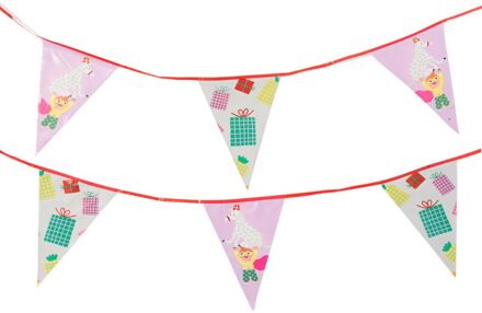 Hema Vlaggenlijn 10m Sint