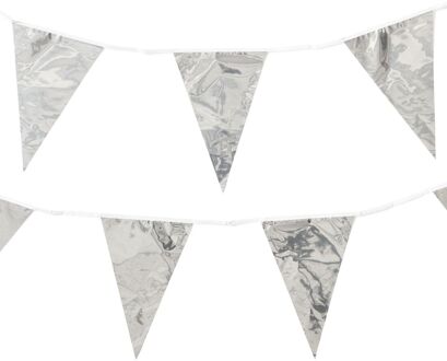 Hema Vlaggenlijn 10m zilver (zilver)