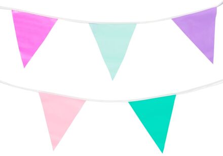 Hema Vlaggenlijn meerkleurig 10m (multicolor)