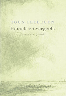 Hemels en vergeefs - Boek Toon Tellegen (9021434083)