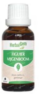 HerbalGem Vijgenboom Bio 30 ml druppels