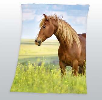 Herding Young Collection Horse Plaid - 100% Polyester - 130x160 Cm - Multi Multikleur