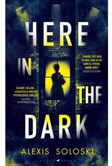 Here In The Dark - Alexis Soloski